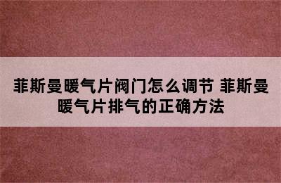 菲斯曼暖气片阀门怎么调节 菲斯曼暖气片排气的正确方法